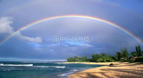 生物降解有機物的來源有哪些？如何處理-樂中環保
