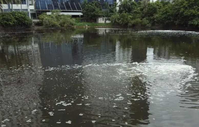 城市黑臭水體定義(城市黑臭水體的判定標準) 城市黑臭水體定義(城市黑臭水體的判定標準)